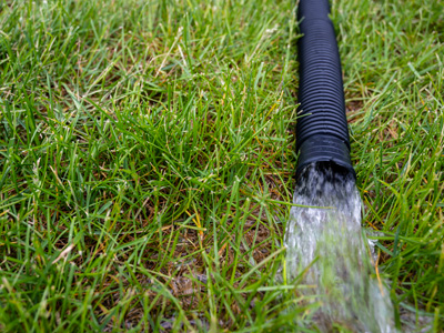 Sump pump drainage hose in the yard