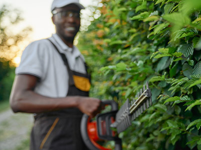 Man trimming hedges with a hedge trimmer